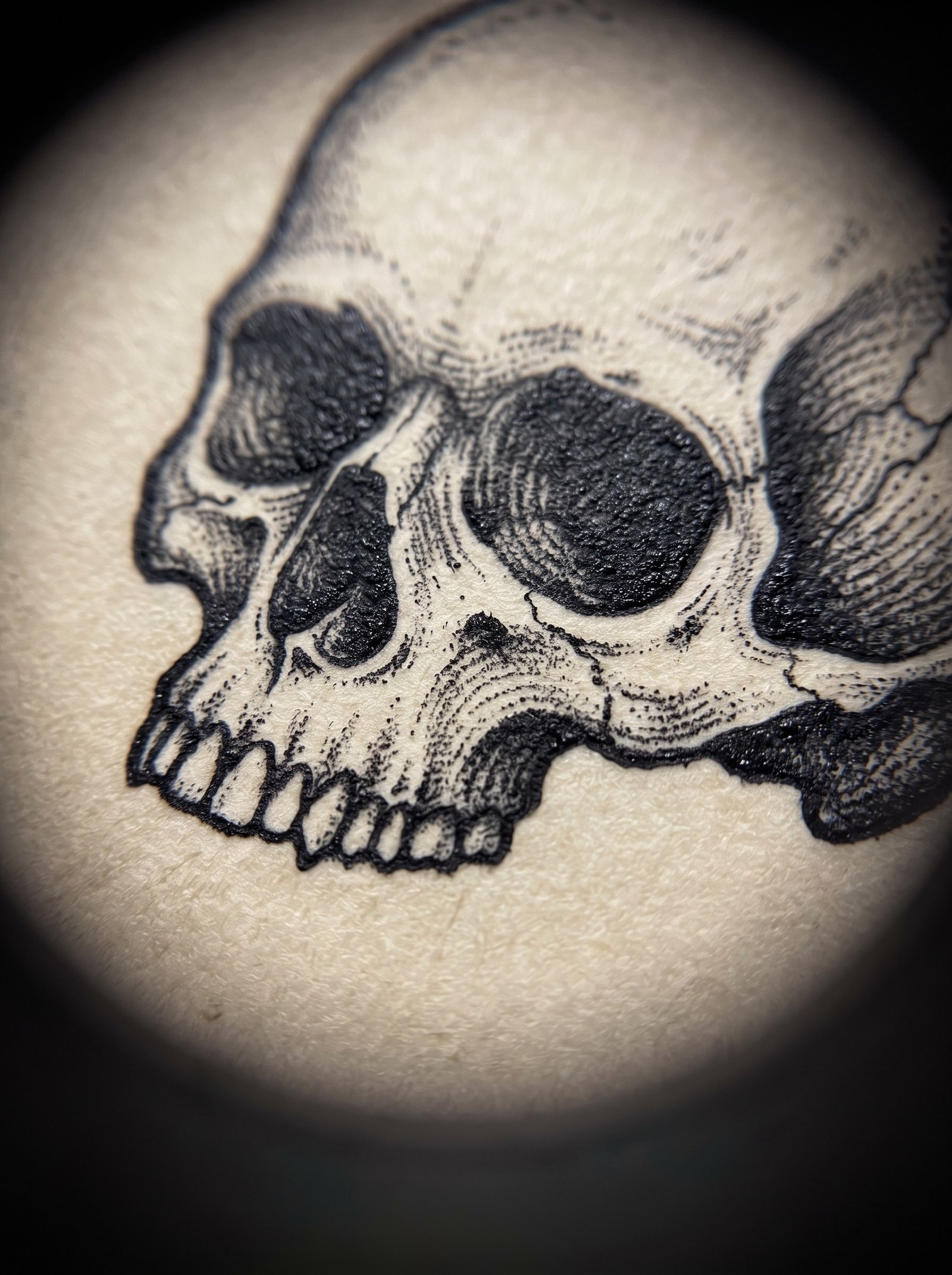 Skull tattoo designs, flash artwork from the Miami Ink Tattoo Designs library