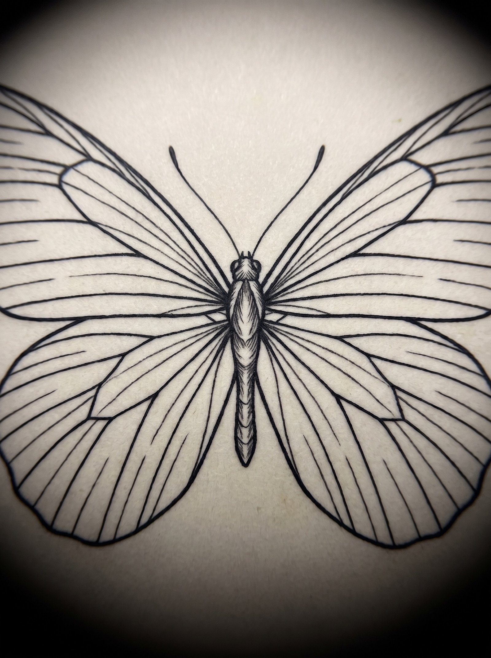 Butterfly tattoo designs, flash artwork from the Miami Ink Tattoo Designs library
