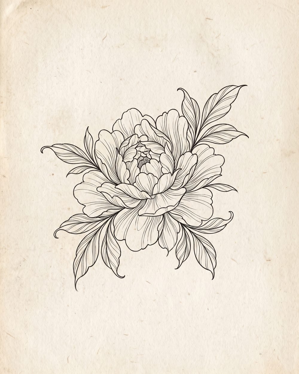 Fine-line peony tattoo design drawn in black ink on flash paper